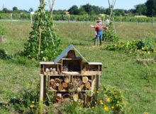 permaculture
