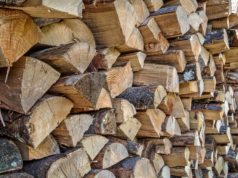 Quels sont les meilleurs bois de chauffage ? les meilleurs bois de chauffage