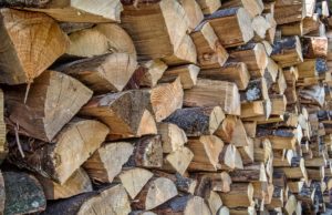 Quels sont les meilleurs bois de chauffage ? les meilleurs bois de chauffage