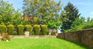 Comment choisir un engrais pour les arbustes ? Choisir un engrais pour les arbustes