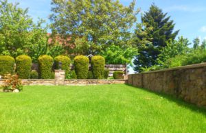 Comment choisir un engrais pour les arbustes ? Choisir un engrais pour les arbustes