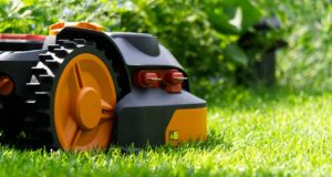 Comment choisir une tondeuse robot ? tondeuse robot