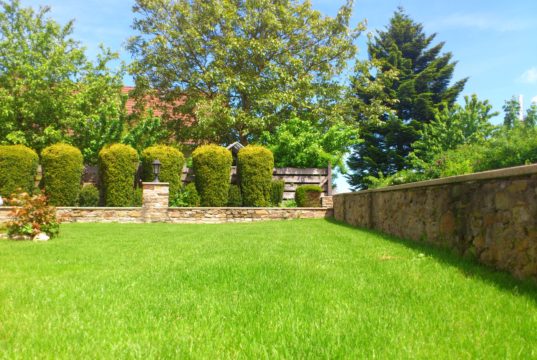 Comment choisir un engrais pour les arbustes ? Choisir un engrais pour les arbustes